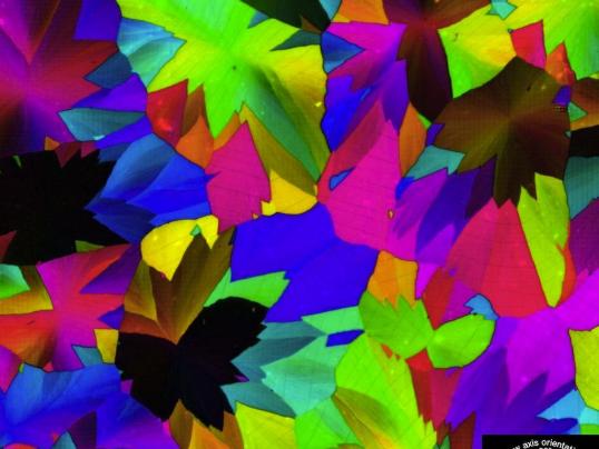 An image recorded with the birefringence OpenPolScope displaying the retardance (brightness) and slow axis orientation (hue) of a 300 nm thick layer of calcite crystals. Courtesy Rudolf Oldenbourg.